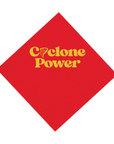 Iowa State University red 3-ply cocktail napkins, set of 25