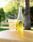 University of Iowa shatterproof cups – alternate view