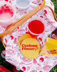 Iowa State University cotton kitchen towel – alternate view